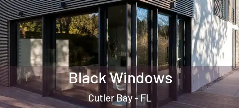  Black Windows Cutler Bay - FL
