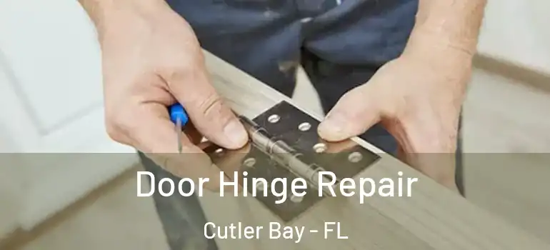  Door Hinge Repair Cutler Bay - FL