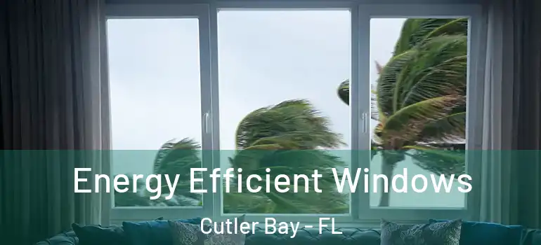  Energy Efficient Windows Cutler Bay - FL