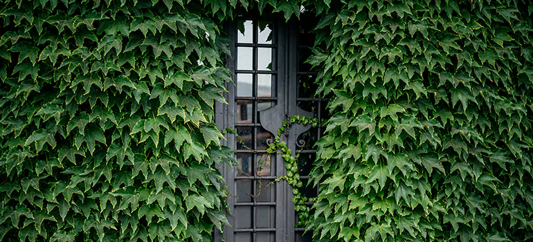 Garden Gate Repair in Cutler Bay, FL