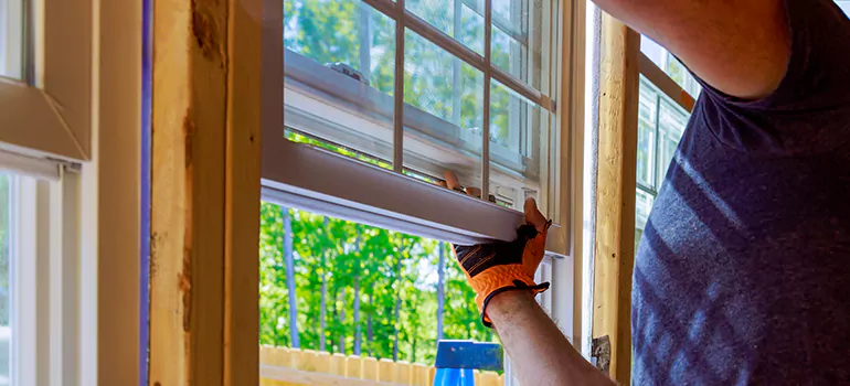 Decorative Window Film Services in Cutler Bay, FL
