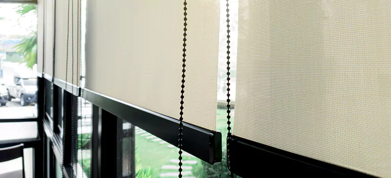 Blackout Window Shades in Cutler Bay, FL