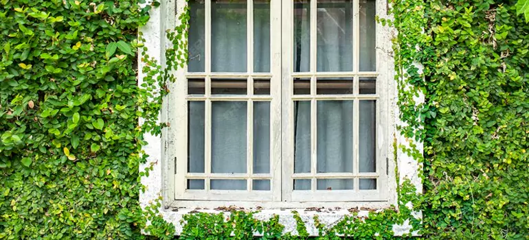 Garden Window Repair Near Me in Cutler Bay, FL
