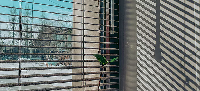 Commercial Window Blinds in Cutler Bay, FL