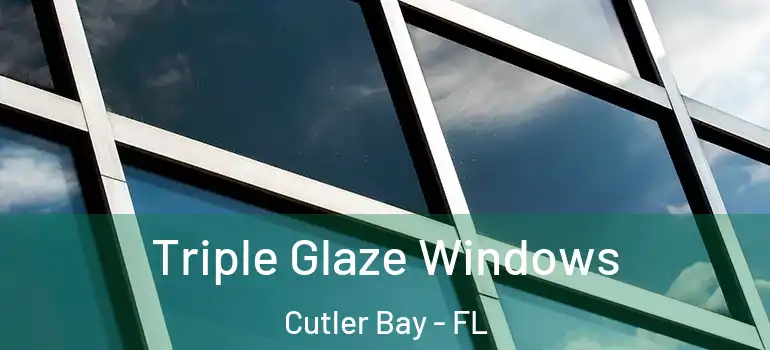  Triple Glaze Windows Cutler Bay - FL