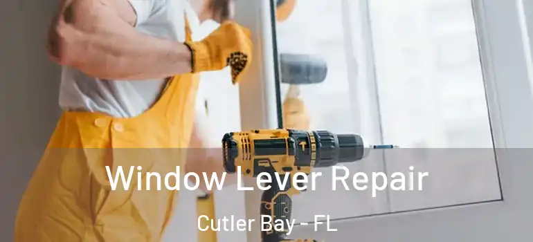  Window Lever Repair Cutler Bay - FL