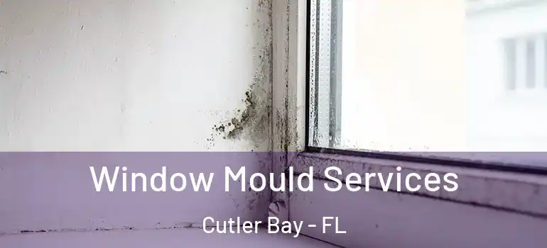  Window Mould Services Cutler Bay - FL